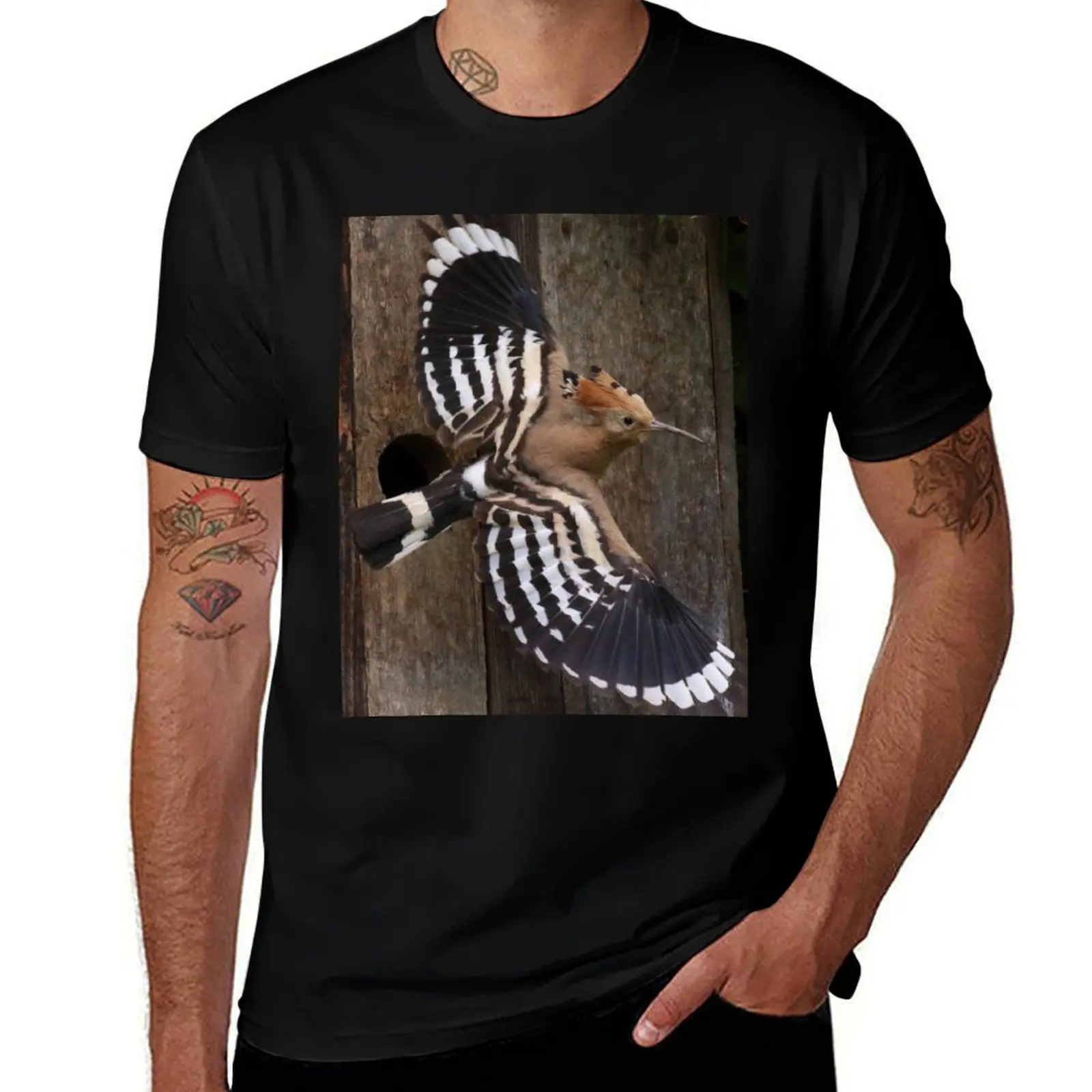 Hoopoe In Feuersbrunn, Lower Austria T-Shirt vintage t shirts summer top Men's clothing