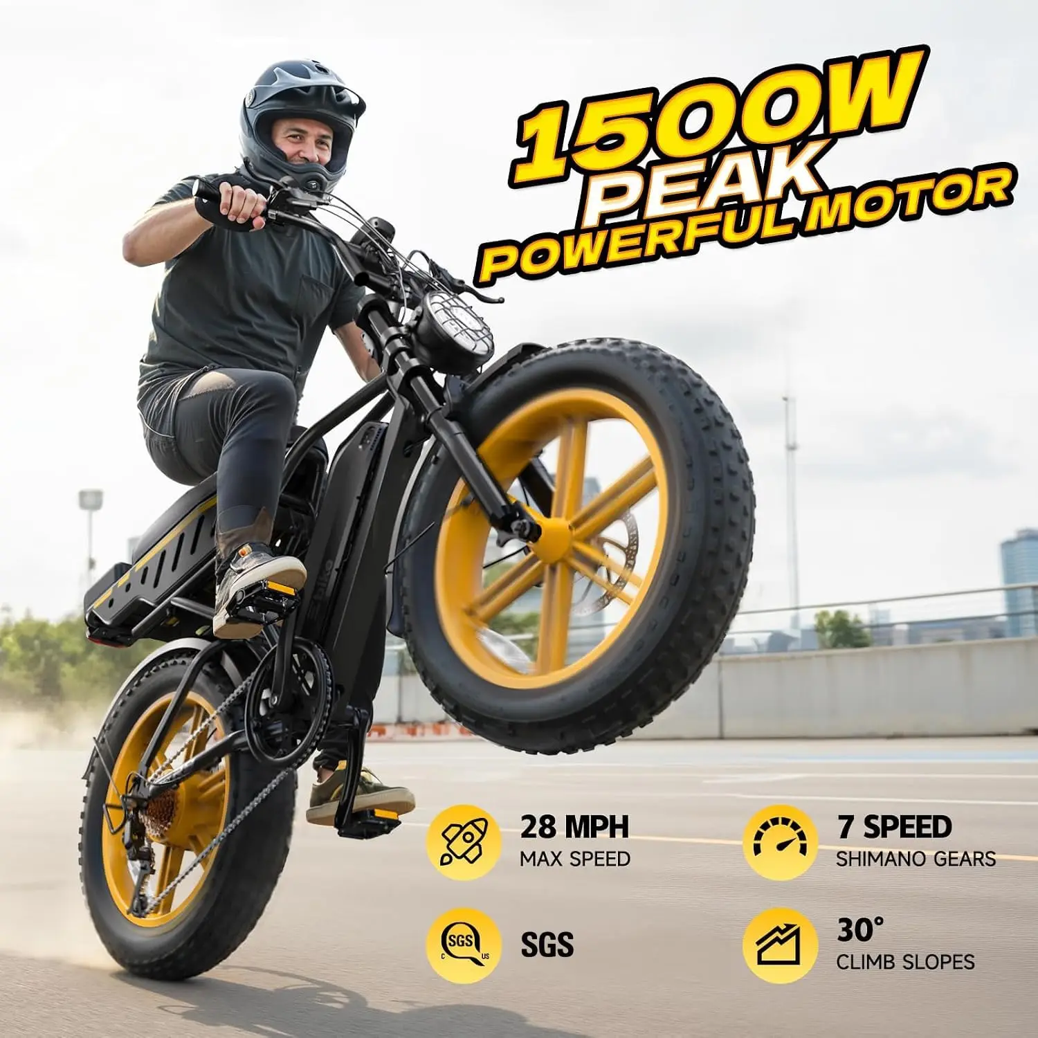Electric Bike 48V 15Ah Battery 1500W Peak Motor 20x4.0 Fat Tire Mountain Snow Beach Off-Road E-Bicycle, Customized