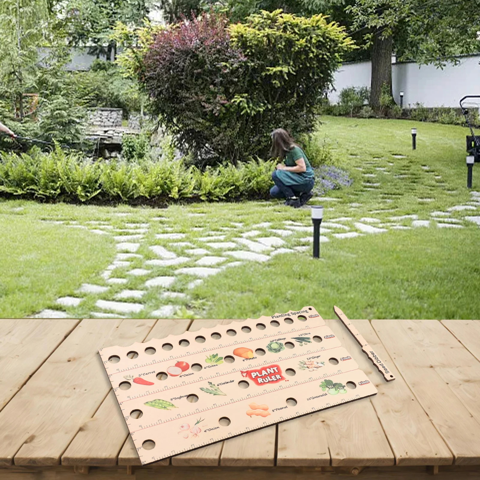 Vegetable Garden Plant Ruler Spacing Measurement Vegetable Vegetables Wooden Plant Ruler Interval Multifunction