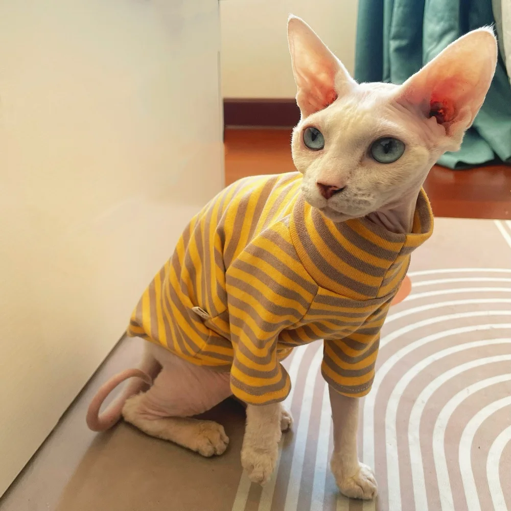 Sphynx Cat Clothes Striped Coat for Male Cat Soft Blue high-neck winter undershirt For Devon Rex Long Sleeves Loungewear Spring