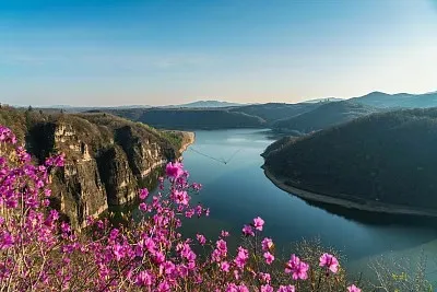 

Комплект из 1 шт. Защитная пластина из нержавеющей стали для шасси и осей для радиоуправляемой модели Axial SCX10 PRO 1/10, запчасти для тюнинга