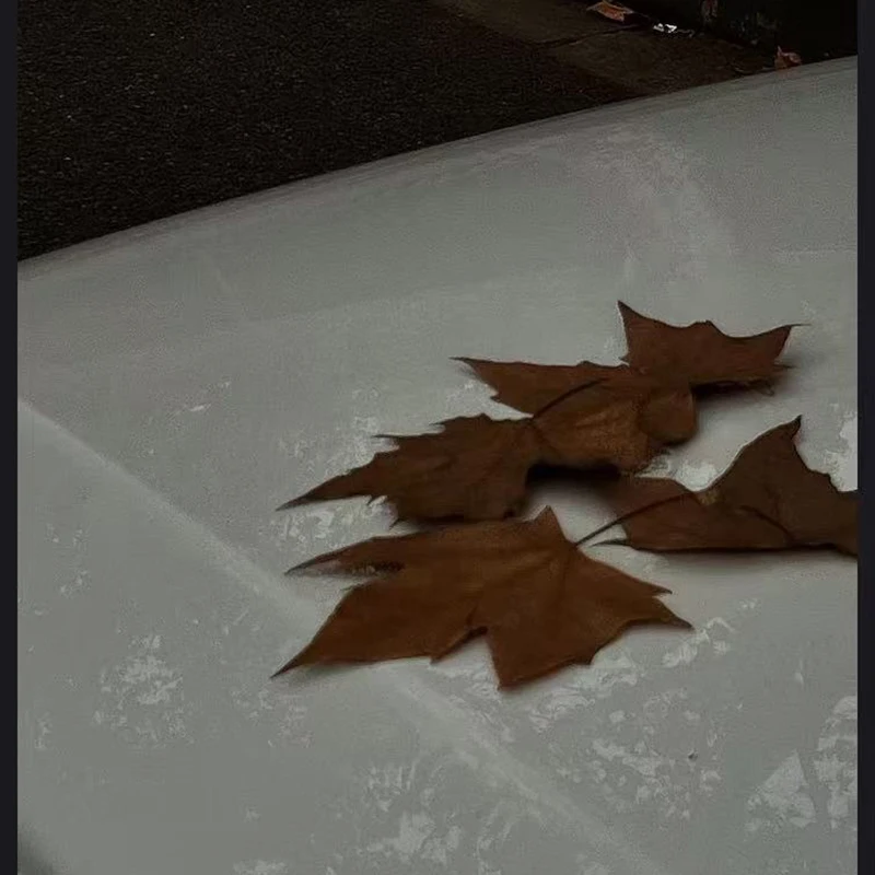 

MOC Building Blocks Customer Special Photography