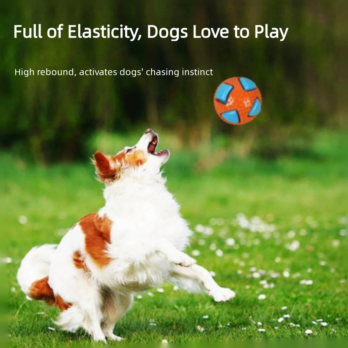 Hundespielzeug Solider Elastischer Ball zum Kauen und Nagen zur Langeweile-Bekämpfung