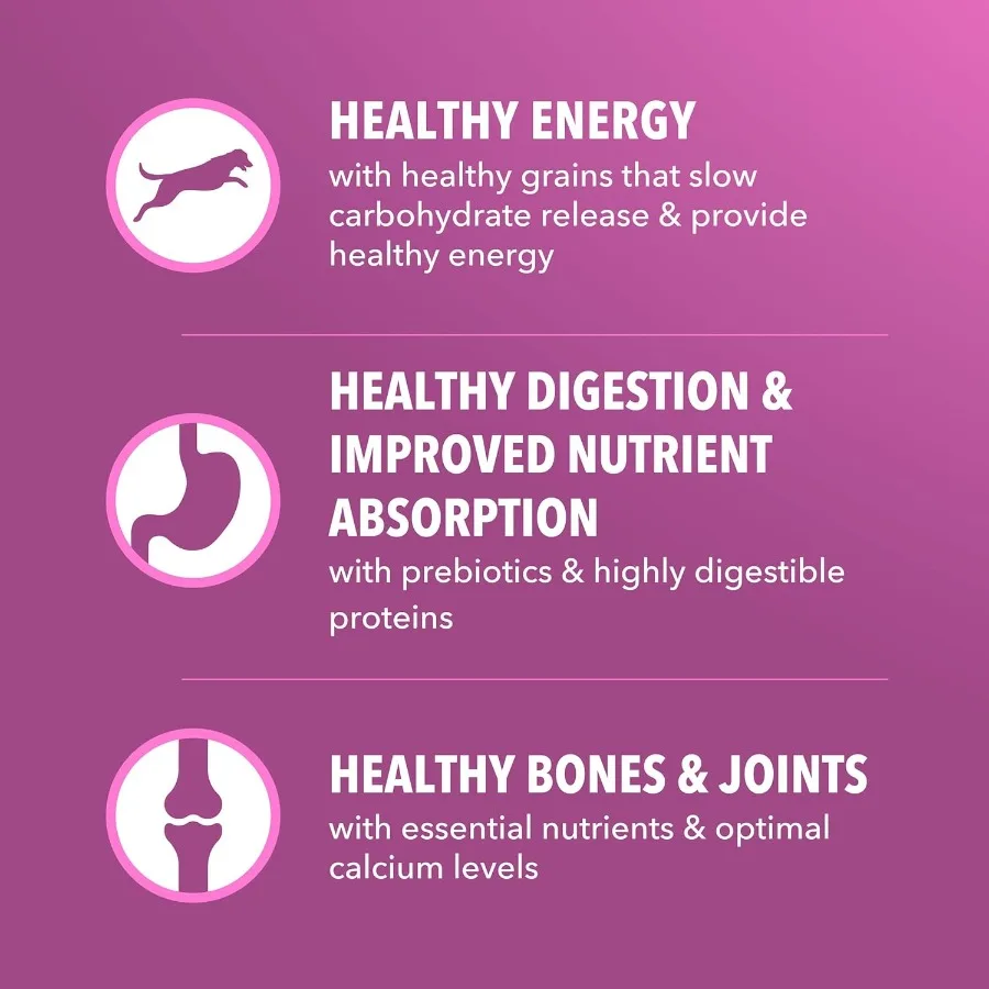 Proactive Health Healthy Aging Large Breed Dog Food for Mature and Senior Dogs with Real Chicken 30 lb. Bag