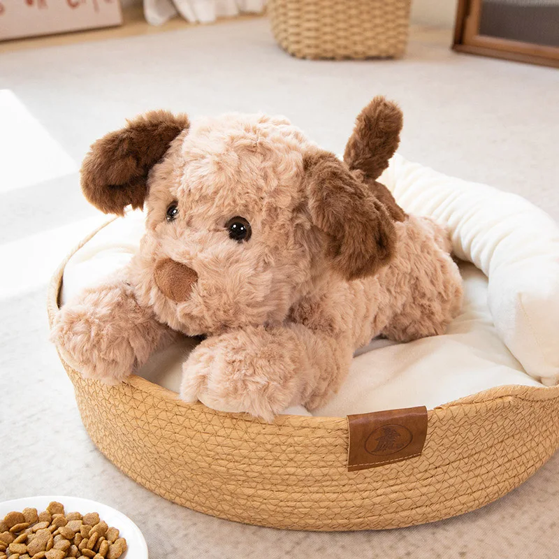 Grand oreiller en peluche en forme de chien, pour canapé, kawaii, décor de chambre, cadeaux d'anniversaire pour petite amie, femmes, mignon, pour enfants