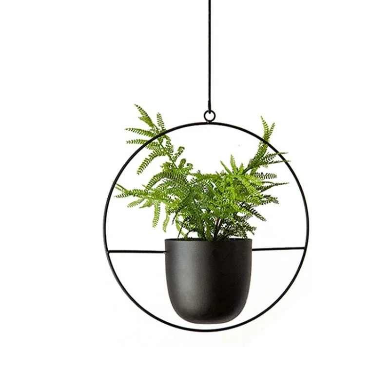 

Hanging pot hydroponic plant hanging orchid balcony