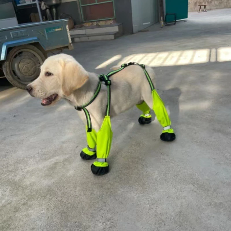 Go Out Dog Boots Do… - image