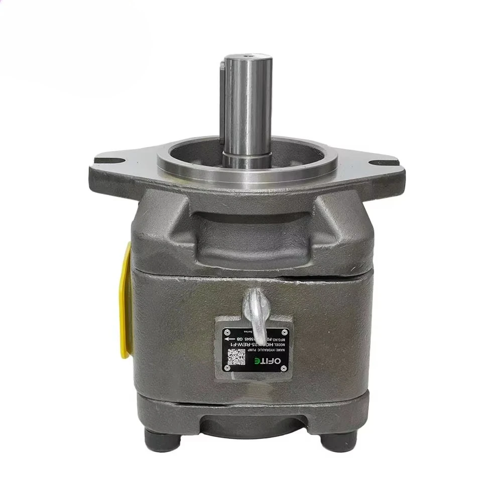 l Gear Pump for Moulding Machine Bending Machines ForkliftHG2-80 Series High-Pressure Hydraulic Pump Oil Pump Internas