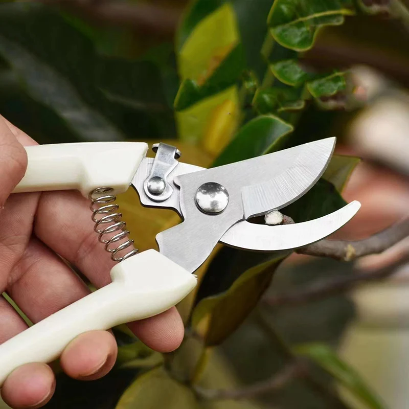 Pruning Garden Scissors Stainless Steel Scissors Flower Cutting Flower Arrangement Pruning Fruit Tree Garden Branch Flower Plant