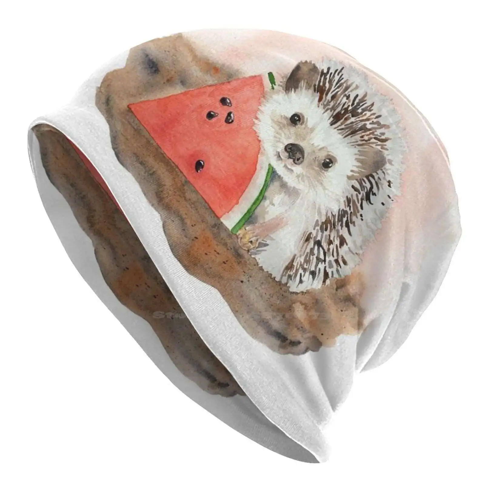 Baby Hedgehog With Watermelon Knitted Hat Warm Beanie Outdoor Caps Watercolor Art Hedgehog Art Watermelon Animal Art Art