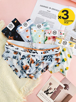 new printing underwear men ice silk men underwear thin sexy Men's underpants and Boxers floral printing sexy panties 2/3/4PCS