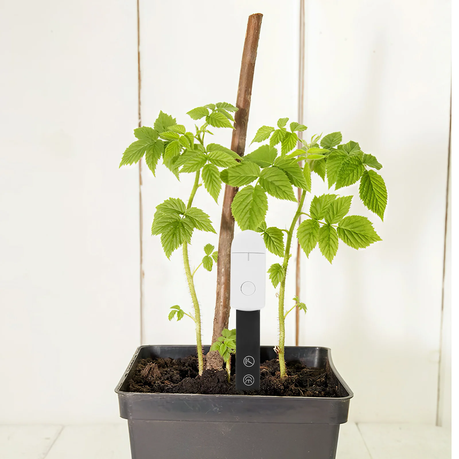 

1Pcs Soil Moisture Sensor Precise Design Hygrometer Easy to Carry for Garden Greenhouse Indoor Plant Care White