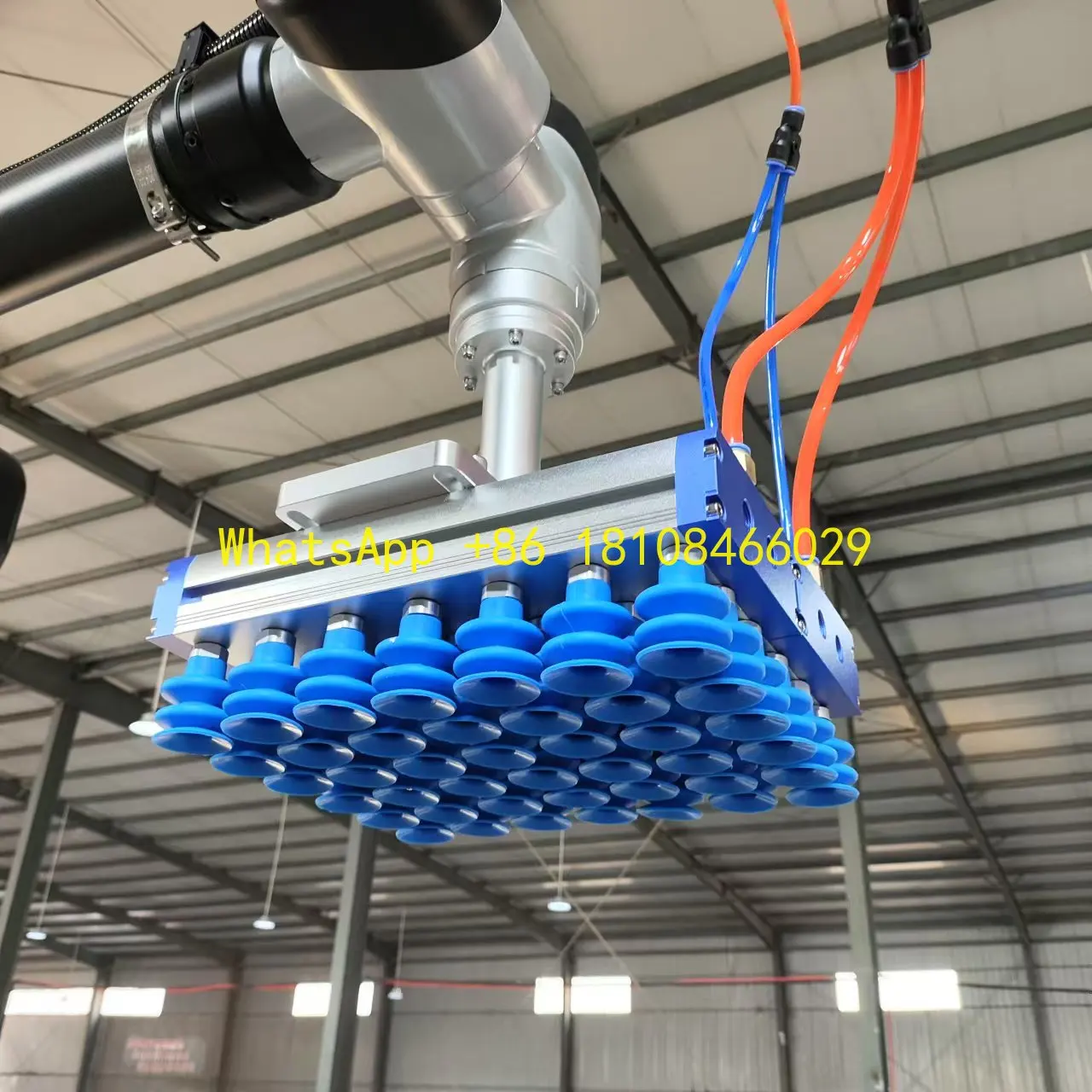 عالية الدقة Rayman التلقائي روبوت البليتينز المحمولة الروبوتية البليتي للكرتون/حالة/صندوق/حقيبة البليت التلقائي #1