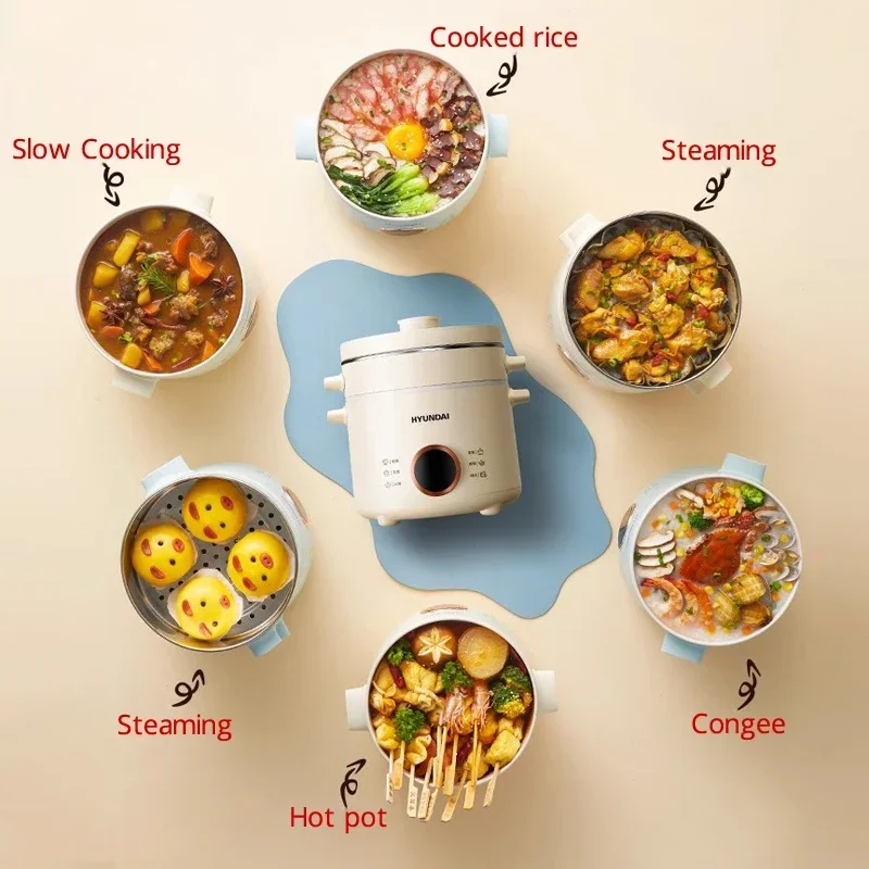 Cuiseur à riz électrique antiadhésif, mini multicuiseur, boîte à lunch, marmite, poêle, cuiseur vapeur, 2,0 L