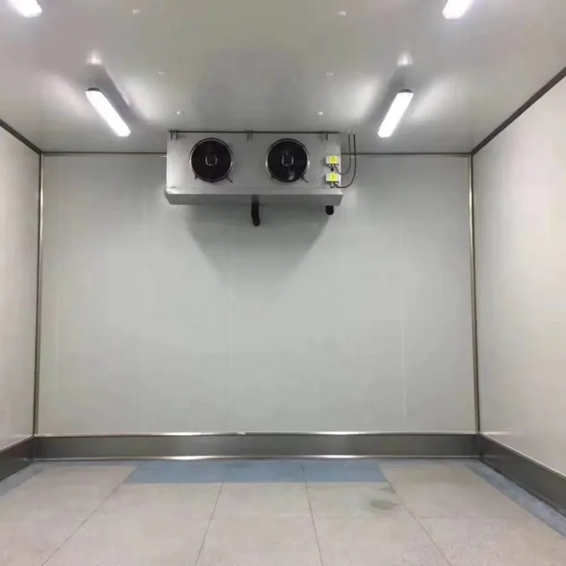 Walk In Freezer Cold Storage Room with Commercial Refrigeration System for Frozen Food Warehouse Use Customized