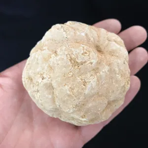 11 Hauptverkäufe gemischte Ornamente - №5