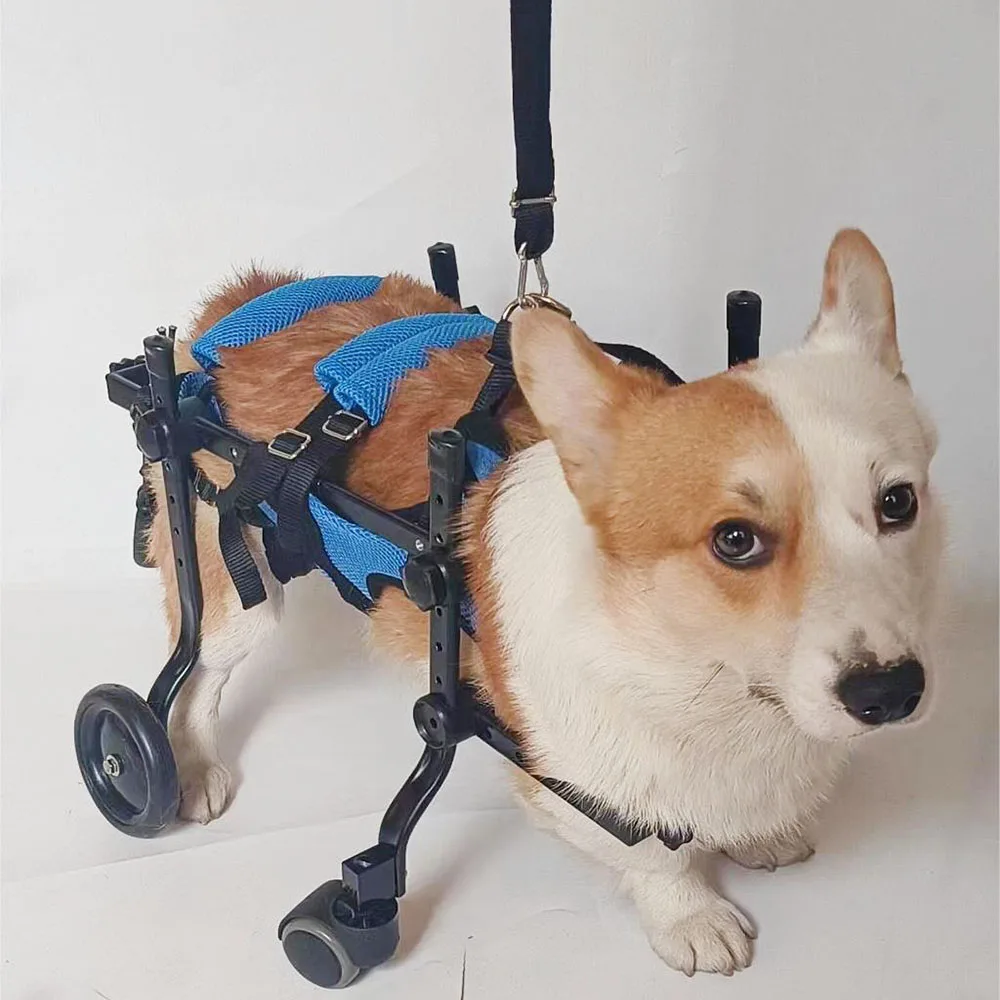 WheelchairPet Injury Rehabilitation Training CarDog Paralyzed Assisted WalkerDog Spinal Support Scooter