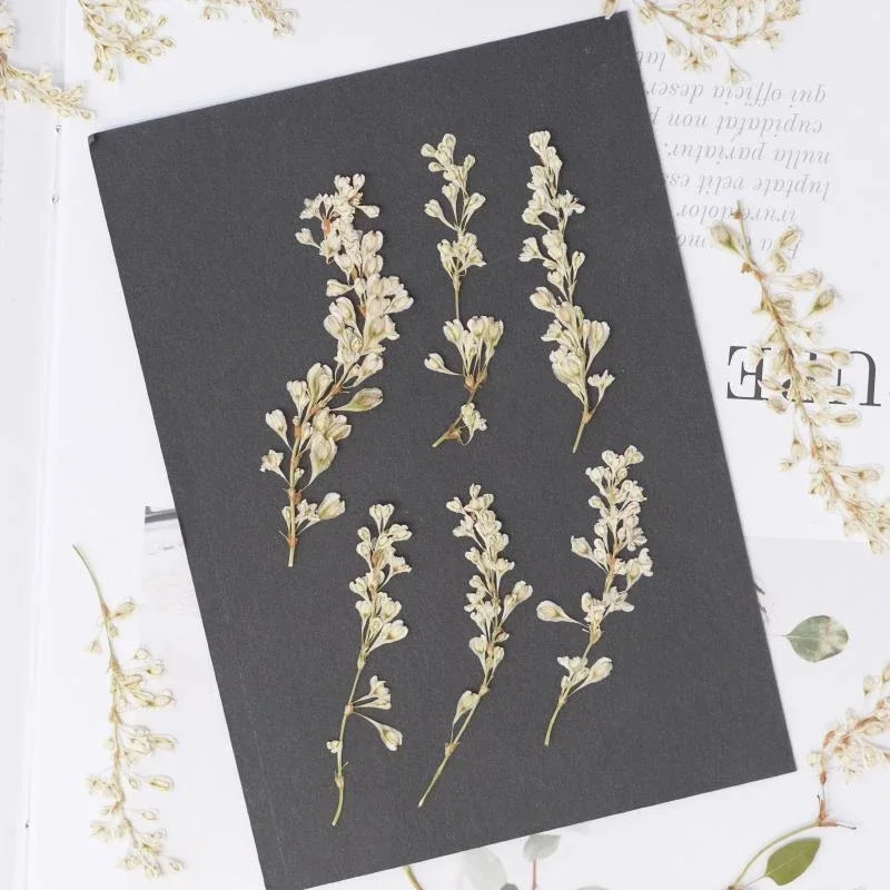 12pcs/5-12cm,nature Pressed Glutinous Flower Branches Dry Flower Resin Mobile Phone Case Decorative Painted Plant Photo Frame