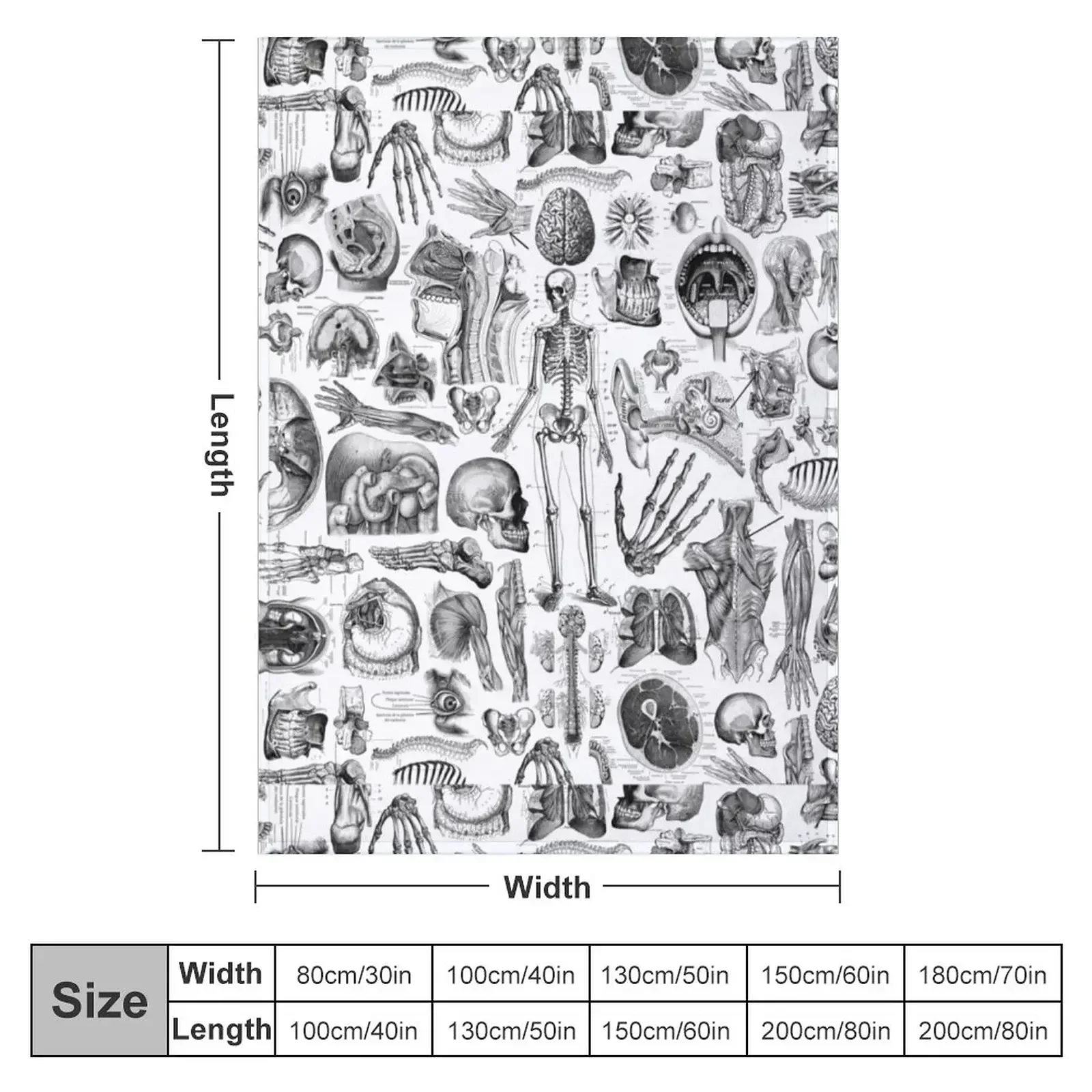 Human Anatomy White Print Throw Blanket Blankets For Sofas Cute Sleeping Bag Luxury Brand Blankets