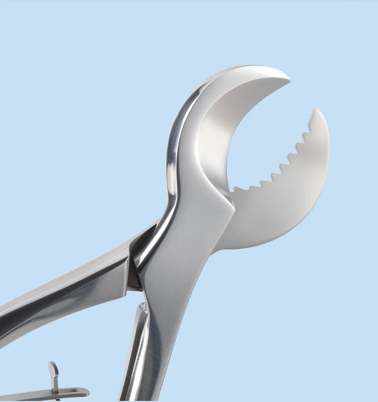 AZDENT Dental Gipsschere Schere Edelstahl Pinzette Instrument Gips Gips Zange Zahnmedizin Zahnarzt Labor Werkzeuge – Detail 8