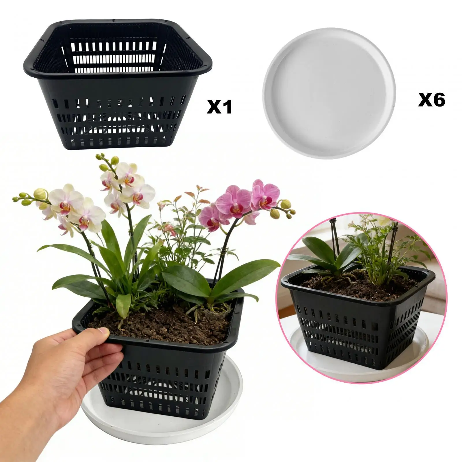 

Orchids Pot Root Control Transplanting Indoor Gardening Repotting Breathable
