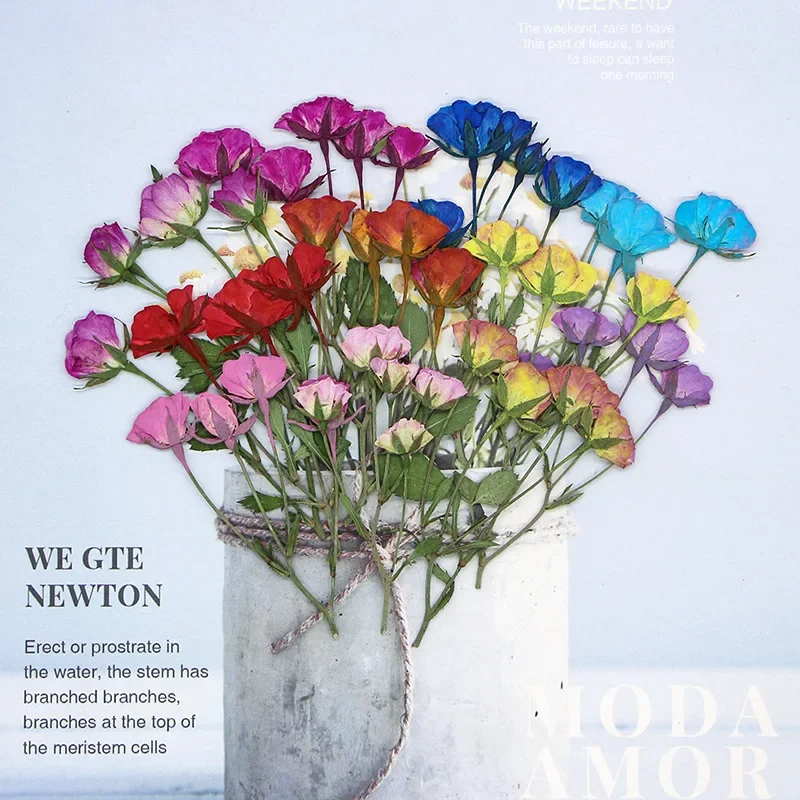 yZ[z12 ARvX~j[Y}`wbh}AhCt[ DIY tHgt[hbvO[ubN}[NtFXeBoJ[hAtHgt[