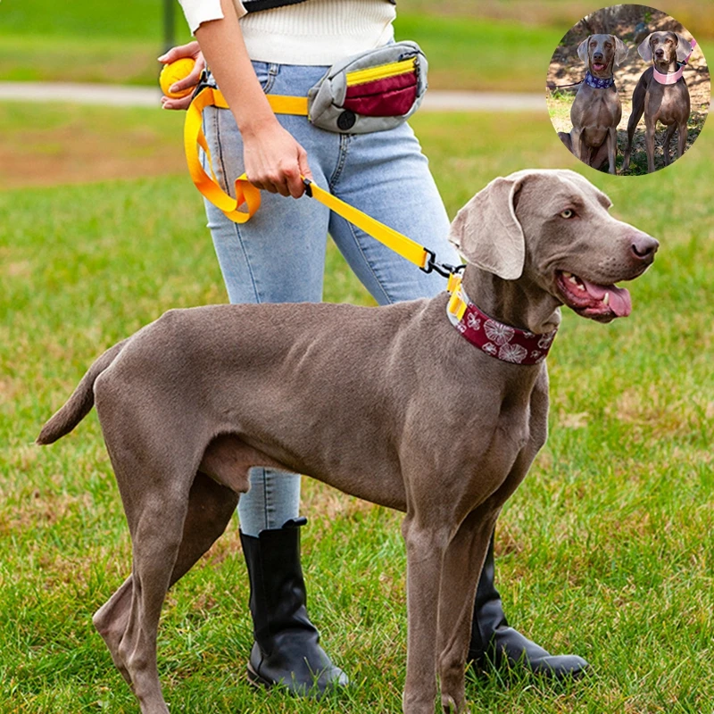 

High-Quality Hands Free Dog Leash for Running Walking Reflective Leash Waist Bag Nylon Belt Dog Traction Rope Pet Products