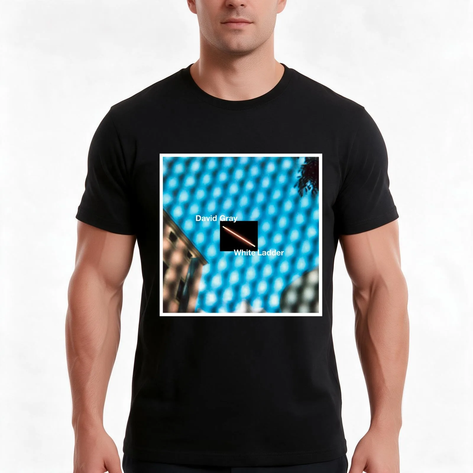 david gray white ladder merch T-Shirt, Summer Casual Cotton Tee, Oversized Streetwear Tops, Vintage Graphic Print, 100% Cotton