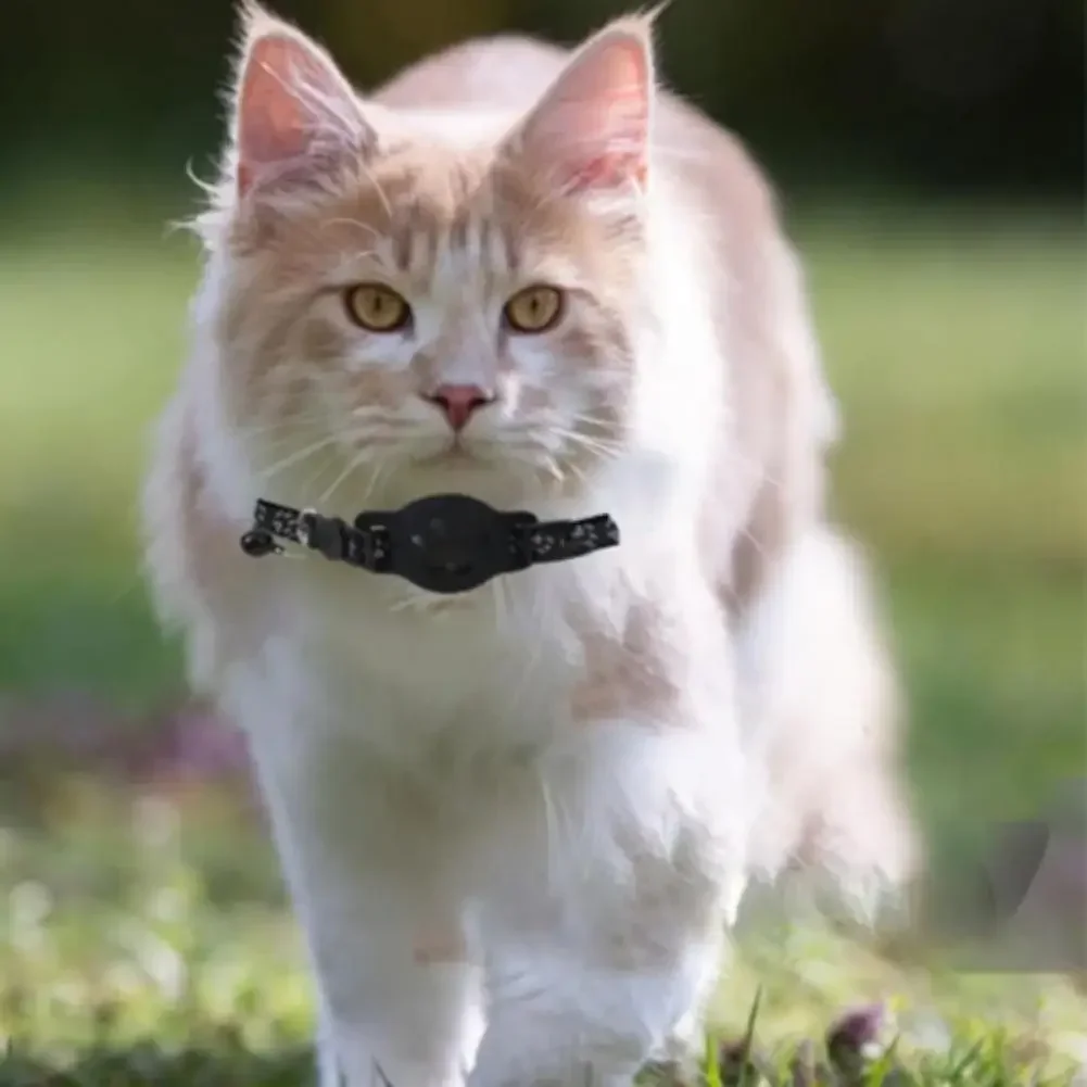 Katzenhalsband kompatibel mit AirTag, reflektierender Streifen mit Glocke, Sicherheitsverschluss, verstellbares Anti-Verlust-GPS-Tracking-Halsband für Kätzchen, kleine Welpen, für tägliche Outdoor-Spaziergänge. – Detail 6