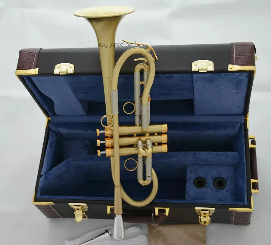 

Новинка 2026 года: Профессиональный трубыный рожок (труба) с индивидуальным дизайном, немецкий дизайн, кожаный чехол, 65