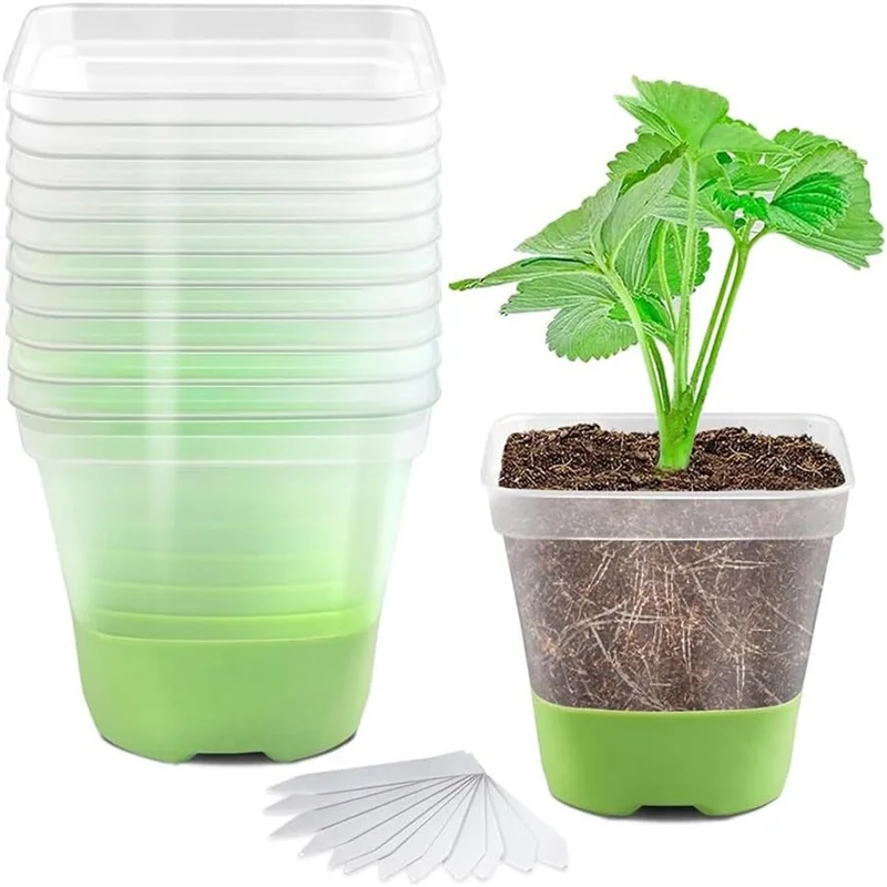 6Pcs Clear Nursery Pots With Silicone Base And Plant Labels Clear Transplant Square Plant Pots For Garden Planting Tools