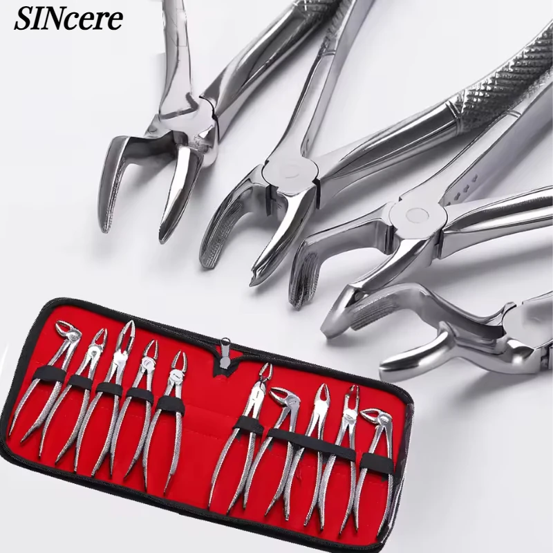 

Dental Extraction Plier Forceps for Adult Dentistry Surgical Teeth Extracting Curved Root Lift Elevator Orthodontic Dental Tools