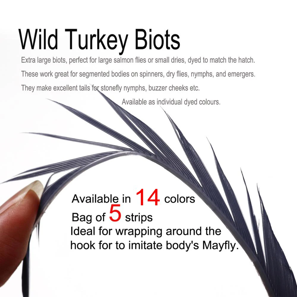 Wifreo 5PCS/bag Wild Turkey Biots Feathers for Split Tails Wrapping Body on Spinner Nymph Dry Flies Emerger Fly Tying Materials