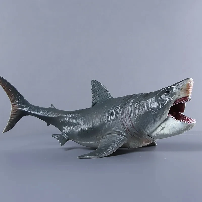 Simulation Sea Life Megalodon Whale Shark Model Action Figure PVC Ocean Marine Animal Educational Collection Toy Kid Home Decor