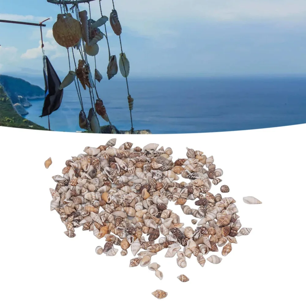 1400Pcs Shell Non P…