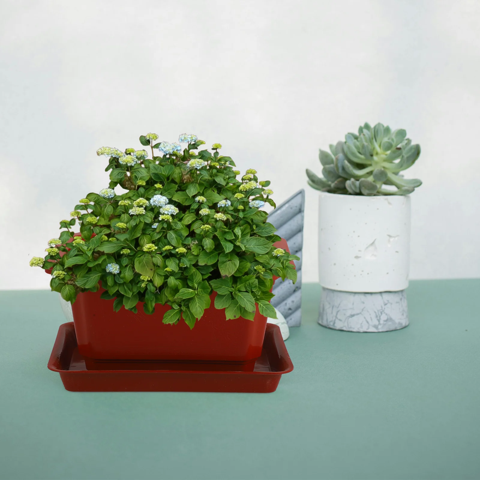 

5 set Rectangular Windowsill Planter Pots 6 Inch Plastic Flowerpots For Succulents Indoor Garden Bonsai Plant Container