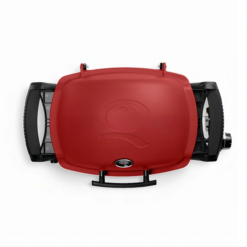 Picnic camping, outdoor grill, gas grill, portable household