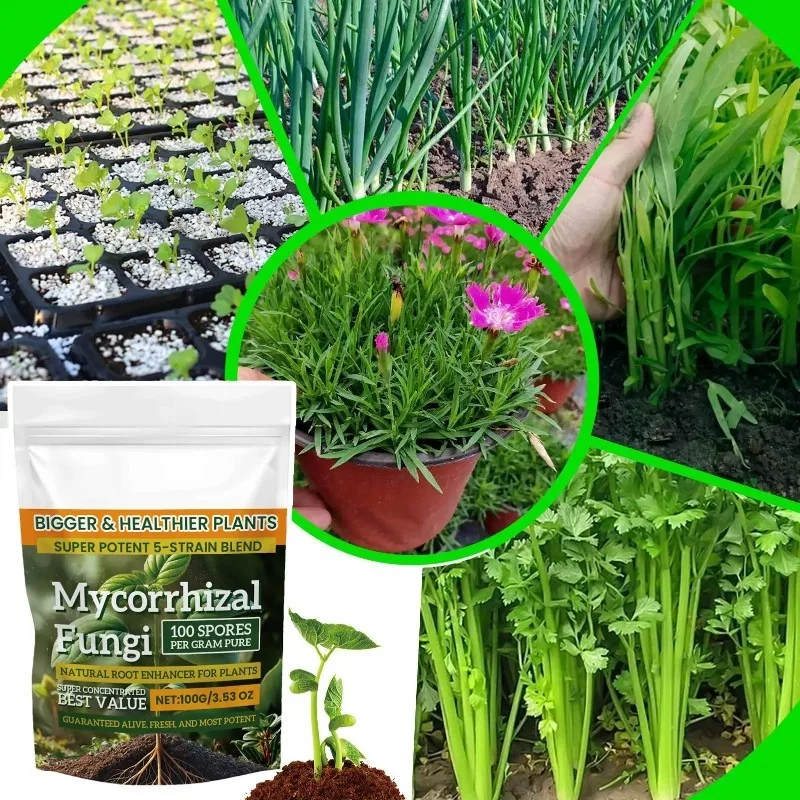 Mycorrhizal Fungi Root Enhancer Promotes Plant Growth Boosts Root Health Enhances Nutrient Absorption for Garden Plants