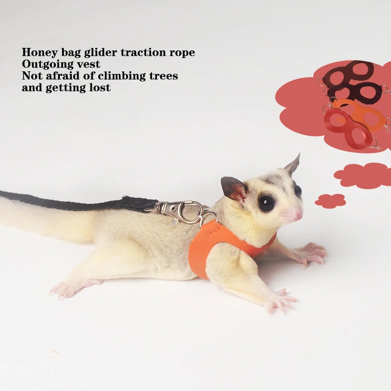 4Pcs/Set Small Pets Chest Strap Hamster Squirrel Leash Anti Bite Traction Rope Sugar Glider Windproof Special Anti Lost Rope.