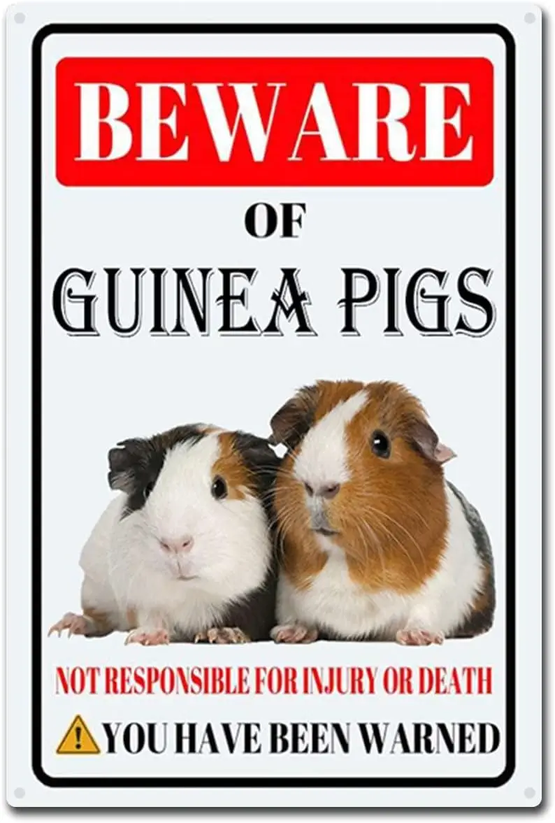 

Guinea Pigs Tin Sign Beware of Guinea Pigs Metal Sign Funny Home Wall Decor Outdoor Warning Decorations Signs-8x12inch-Tin Sign