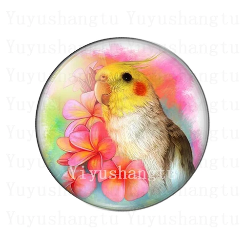 Watercolor cute forest bird tree painting 12mm/14mm/18mm/20mm/25mm Round photo glass cabochon demo flat back Making findings