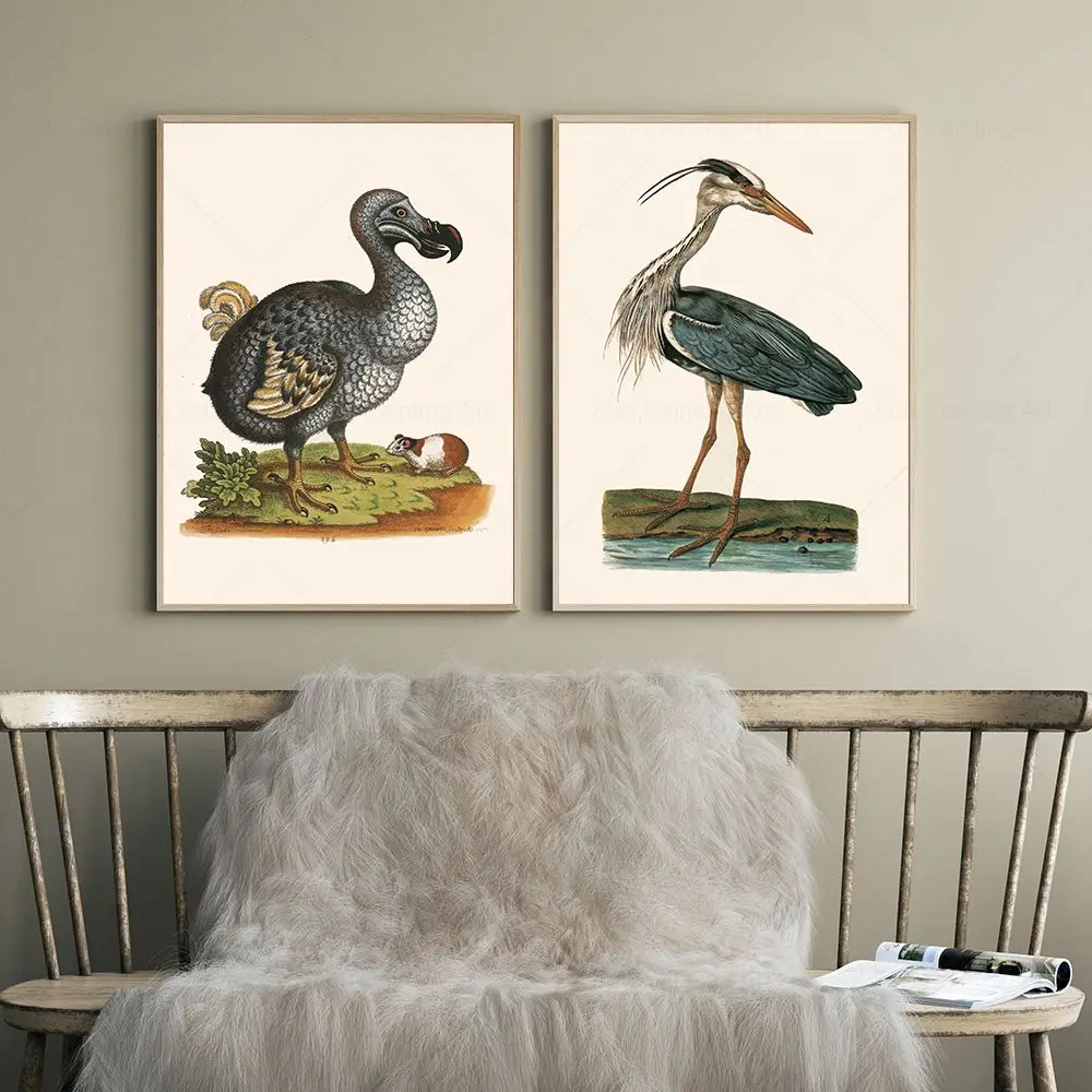 Vintage Bird Poster Canvas Print Retro Ornithology Wall Art Picture Antique Heron Canvas Painting for Living Room Home Decor