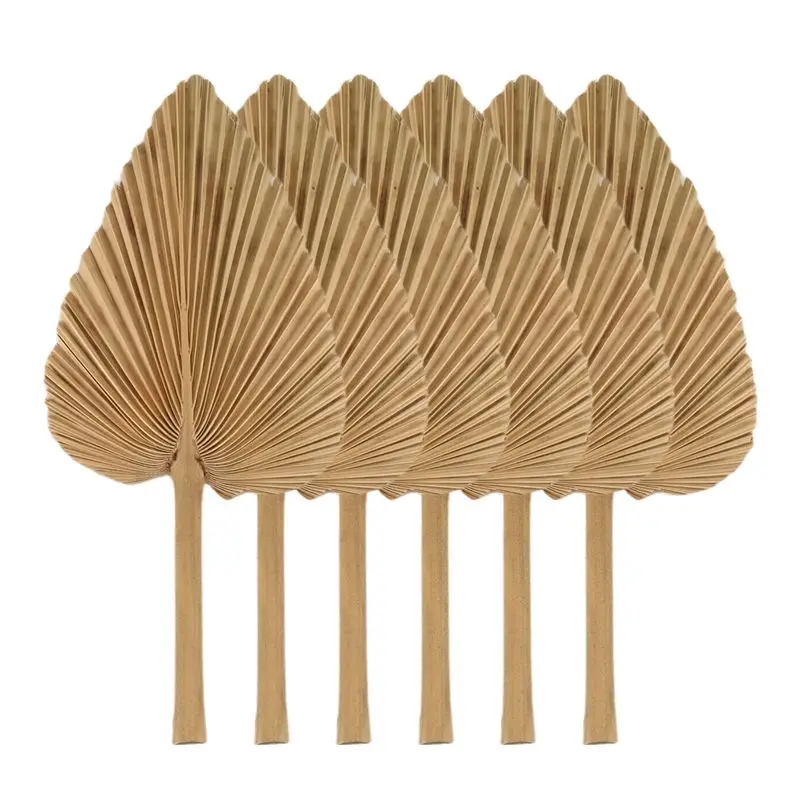 

Сушеные пальмовые листья AT84-6PCS, натуральные сушеные пальмовые веера, большие пальмовые панно для декора в стиле бохо, украшение из тропических пальмовых листьев Dura