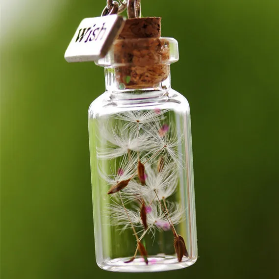 Wishing Drift Bottle Pendant Wish Dandelion Necklace