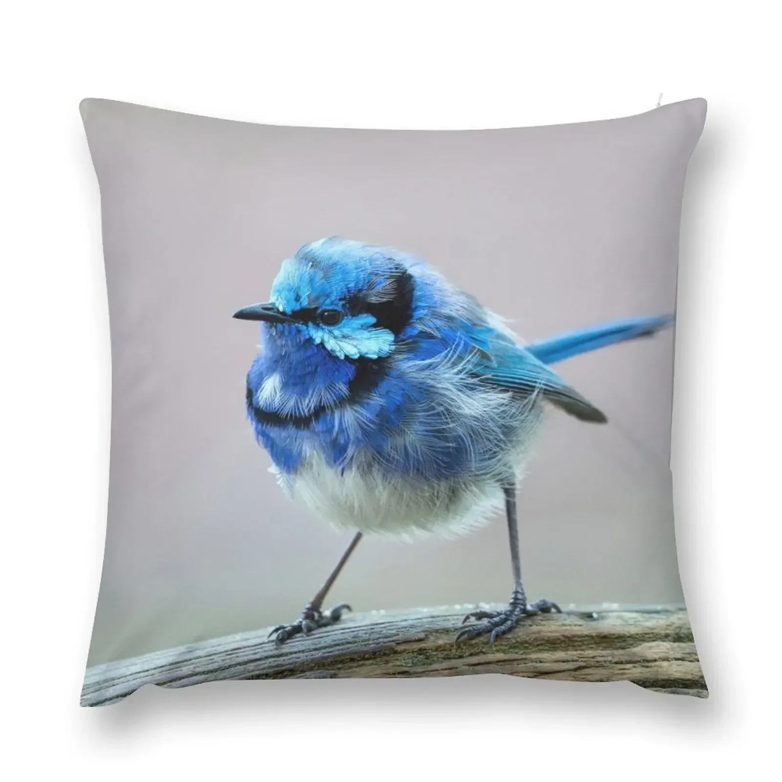 

Pretty Blue Wren Throw Pillow Decorative Cover For Living Room christmas pillowcases Luxury Cushion Cover pillow