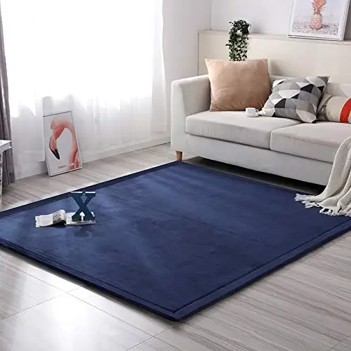 Thick Coral Velvet Rug - Area Rugs(78