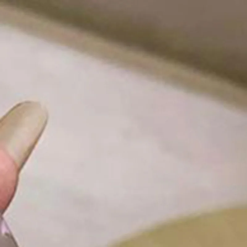 Cappuvini Flowery Dish Language Lip Gloss Mirror Lip Glaze Beep Lip Water Light Lasting Makeup Not Easy To Dip Cup Makeup