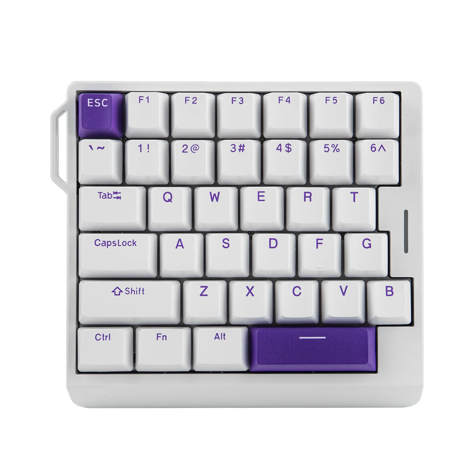 White Purple