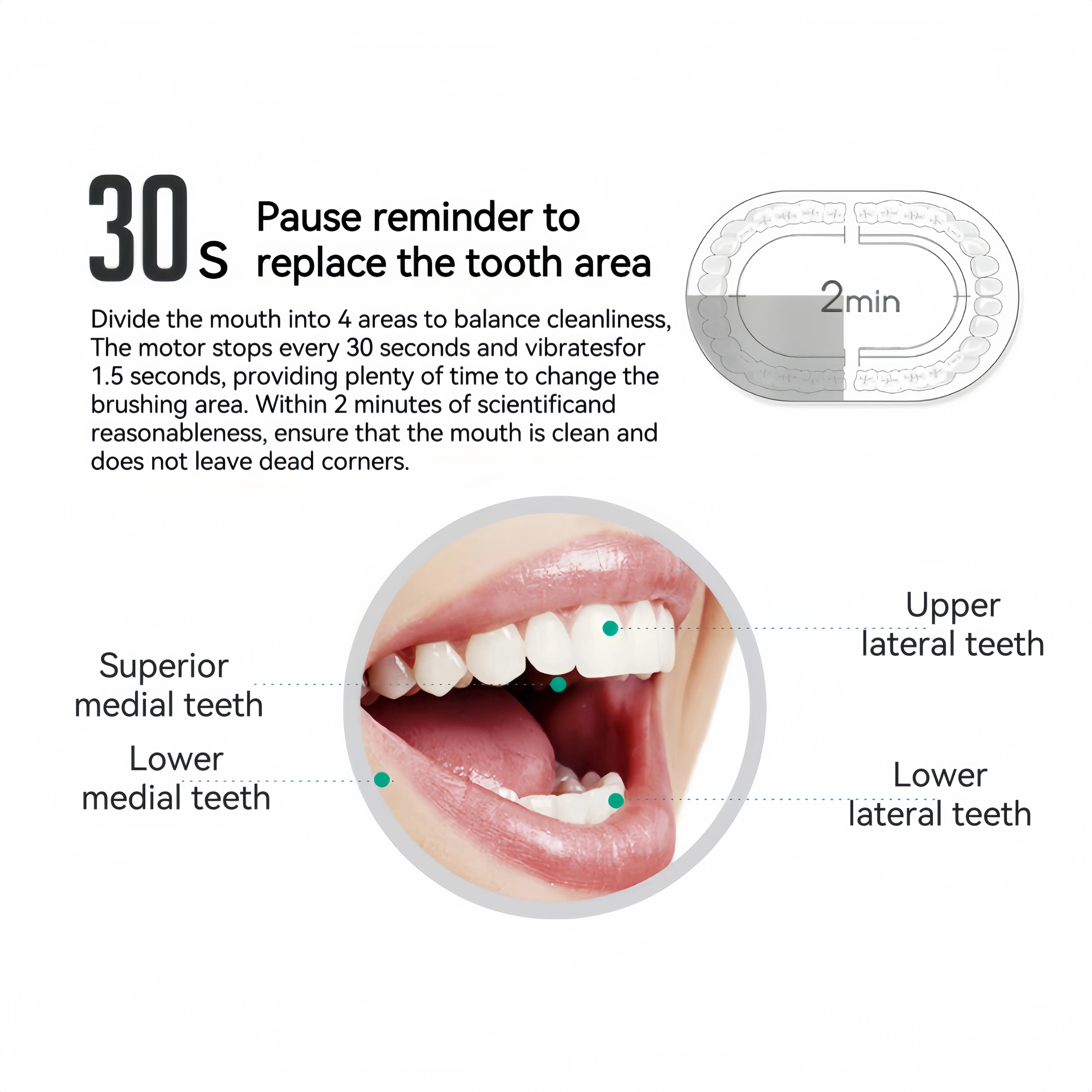 Rechargeable electric toothbrush, 8 brush heads and USB rechargeable toothbrush deep cleaning oral care - 6 cleaning modes - 2 m