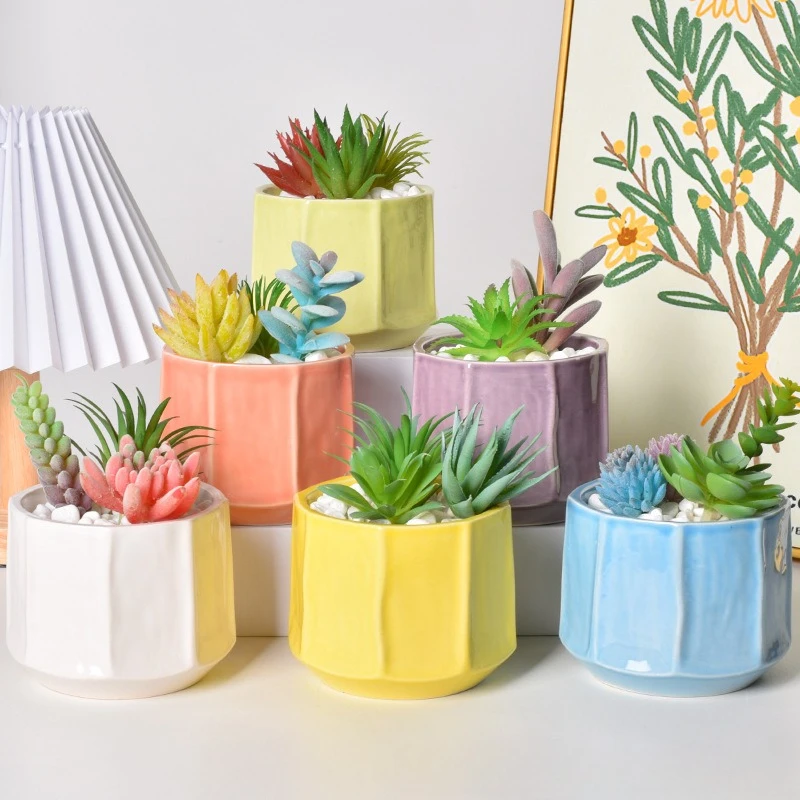 Creative succulent small green plant decorative ceramic pot, butterfly orchid multi-color ceramic flowerpot ornament